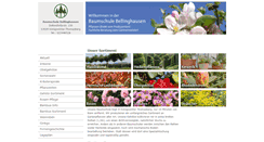 Desktop Screenshot of bellinghausen.de